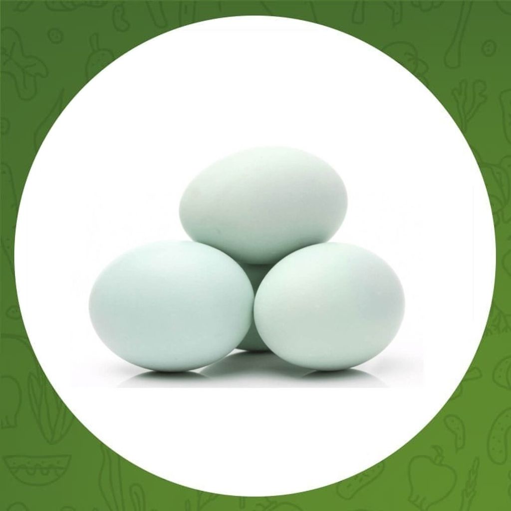 

TELUR ASIN 1 PCS