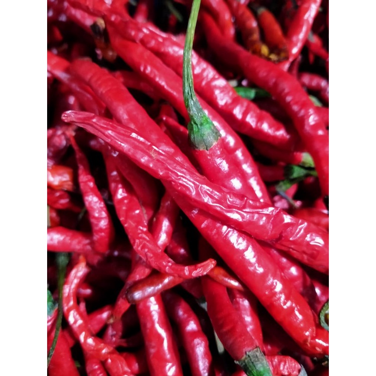 

Cabe Kriting Segar 500 gr
