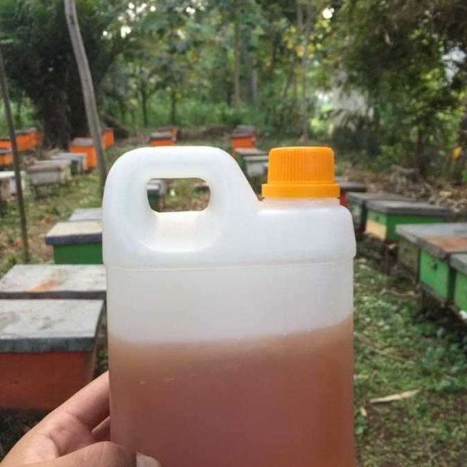 

Asli Madu Murni Multiflora 1kg [1kg]