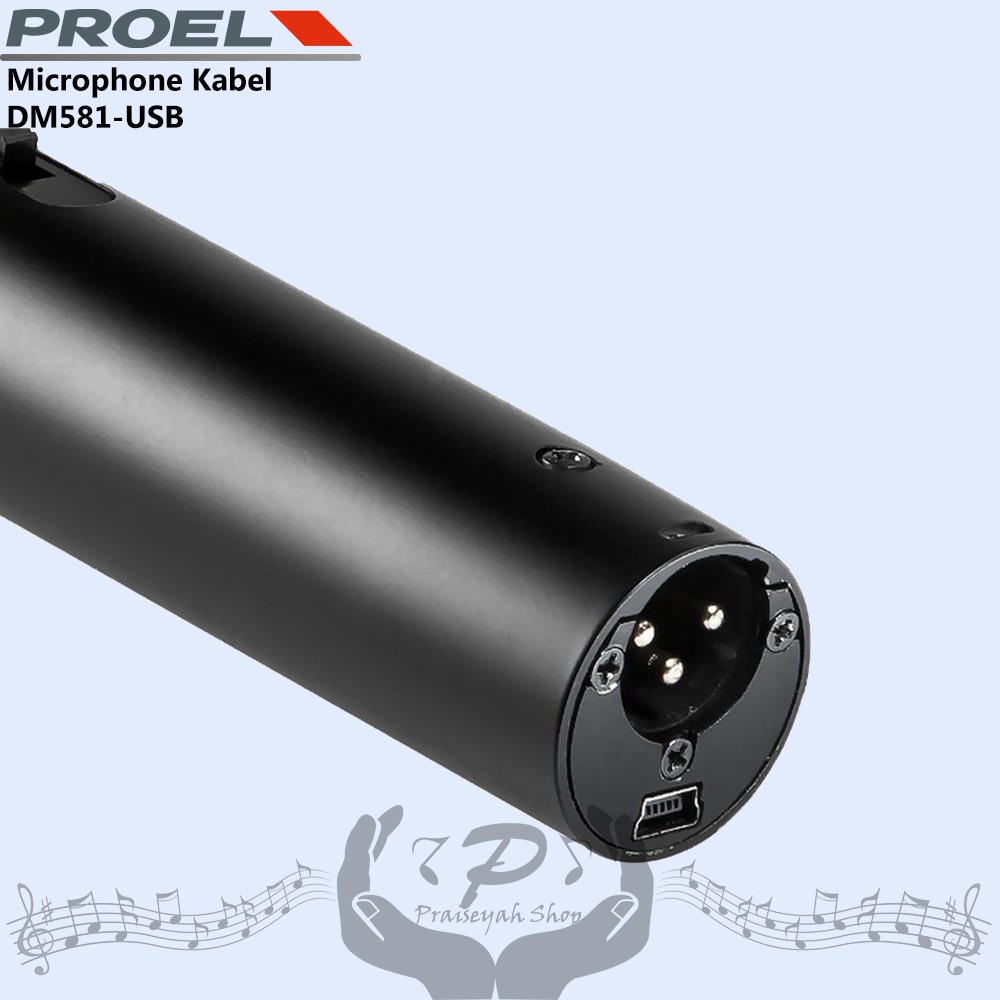 Proel Microphone Kabel DM 581 USB Mikrofon