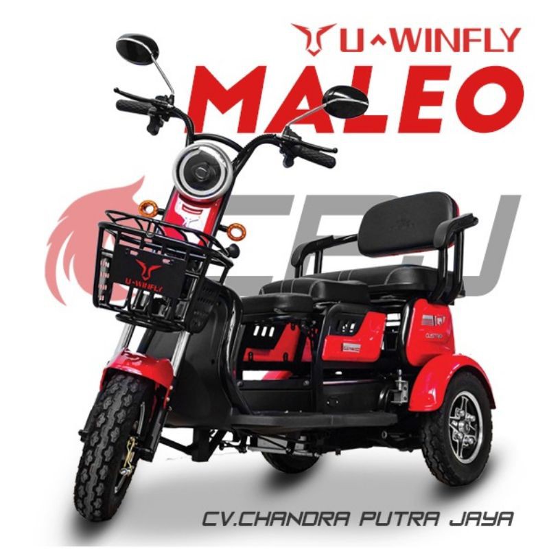 Harga Sepeda Listrik Roda 3 Terbaik Mei 2021 Shopee Indonesia