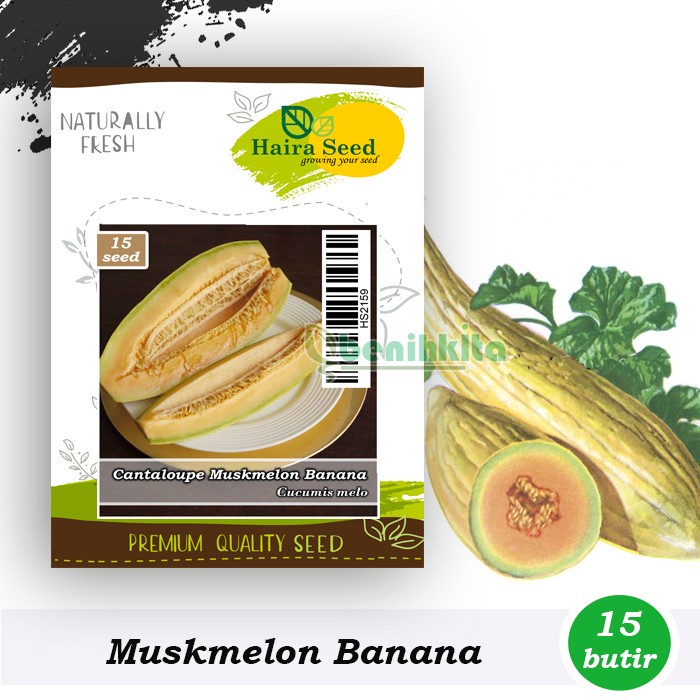 Benih-Bibit Melon Banana Muskmelon (Haira Seed)