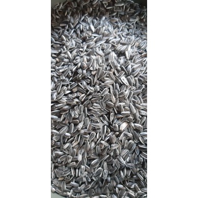 

Biji bunga matahari Kuaci Hamster dan Burung dan Bibit Tanaman Kualitas Super Gred A 500g