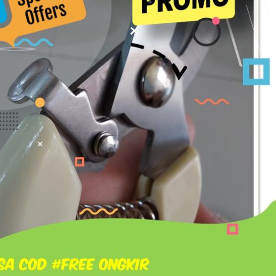 Hot Sale Gunting Dahan Ranting Prohex Hasston Haston Gunting Pruning Daun Bonsai Tanaman Pohon Besar