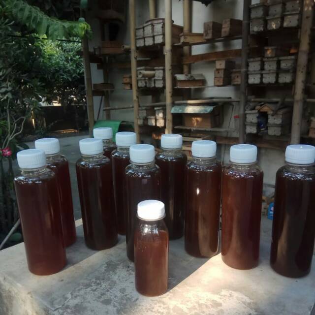 

Madu Trigona / Madu Klanceng / Klanceng Murni / Madu Propolis