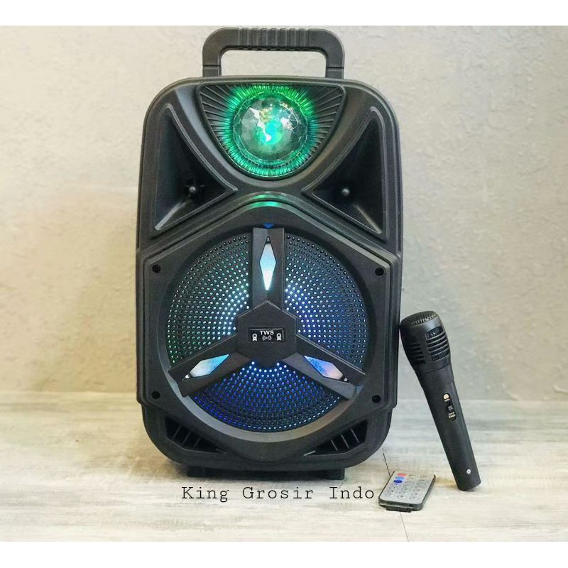 Speaker Bluetooth Jumbo Tipe DS-1002 ( Remote Kontrol , Plus Mic )