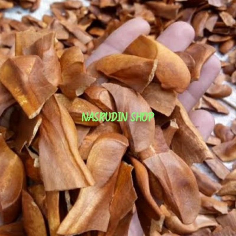 BIJI MAHONI 200 RUPIAH / BIJI BUAH MAHONI TERMURAH / BIJI MAHONI KULIT / BIBIT BIJI MAHONI / BUAH