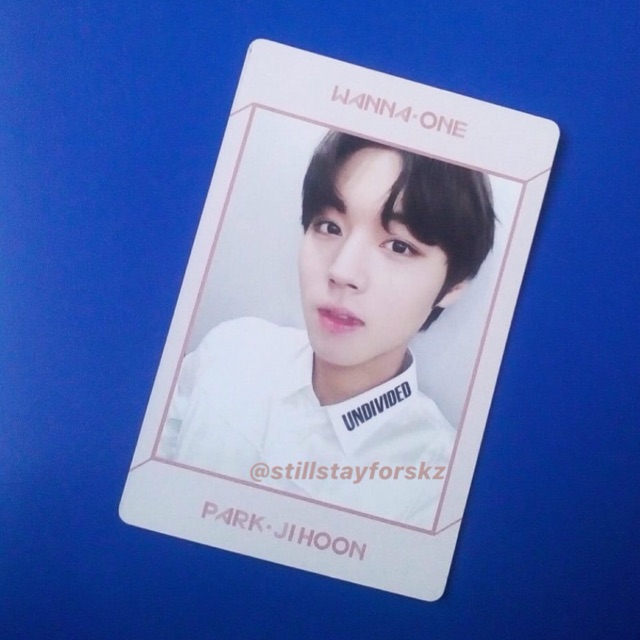 PARK JIHOON PHOTOCARD UNDIVIDED