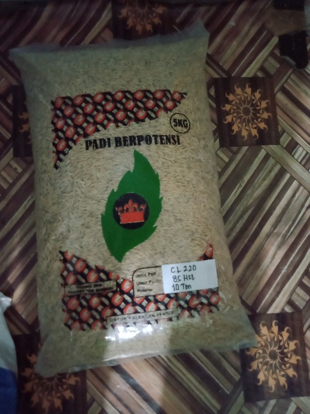 Benih Padi Unggul Cl220