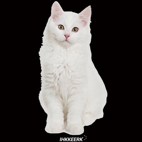 [100%  Katun]Cat Kaos Putih Atasan Wanita Lengan Pendek Oversize Printed T-shirt Baju Wanita Kekinian Korean Style