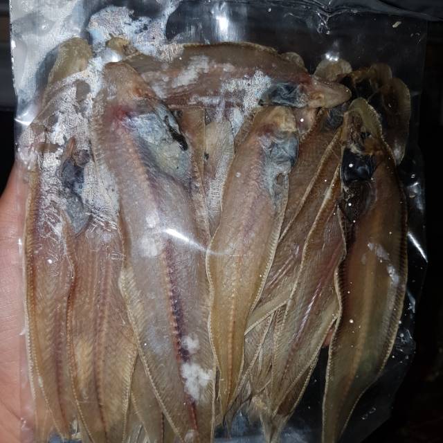 

Ikan lidah tawar