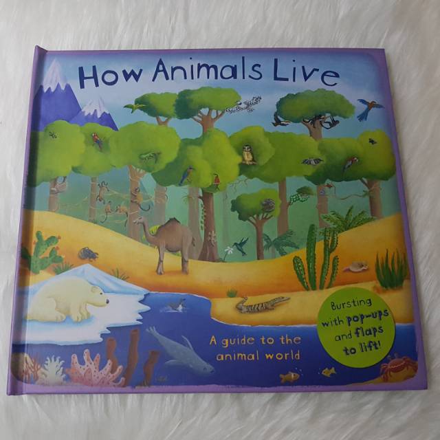 Bundling How Animals Live & How the World Works