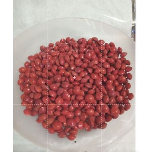 

BIJI SAGA MERAH POHON ( Bukan Saga Rambat )