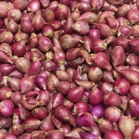 

bawang merah brebes ukuran kecil dan sedang 1 kg