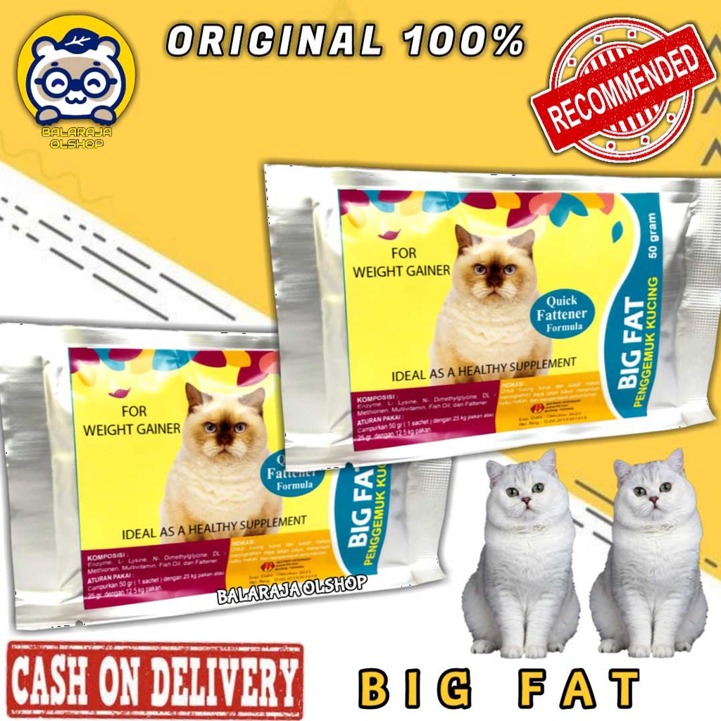 VITAMIN PENAMBAH NAFSU MAKAN DAN PENGGEMUK BADAN KUCING &amp; KITTEN - BIG FAT