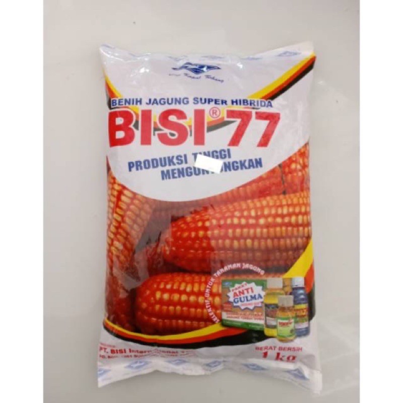BISI 77 benih jagung super hibrida.