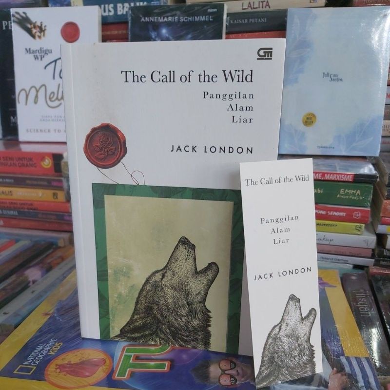 The Call of The Wild - JACK LONDON