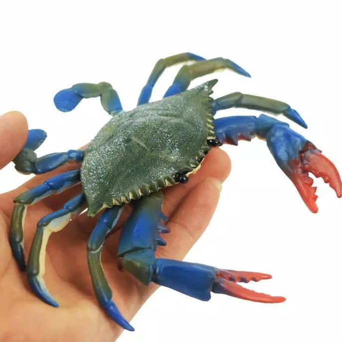 Mainan Kepiting Mirip Asli Shopee Indonesia