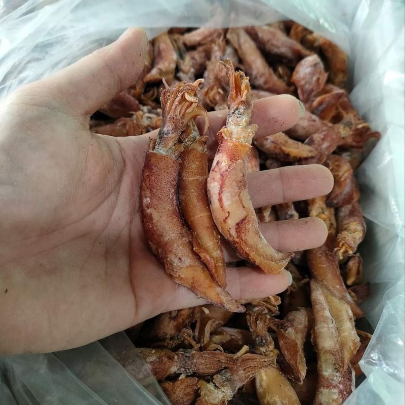 

baby cumi asin panjang 3/4 cm