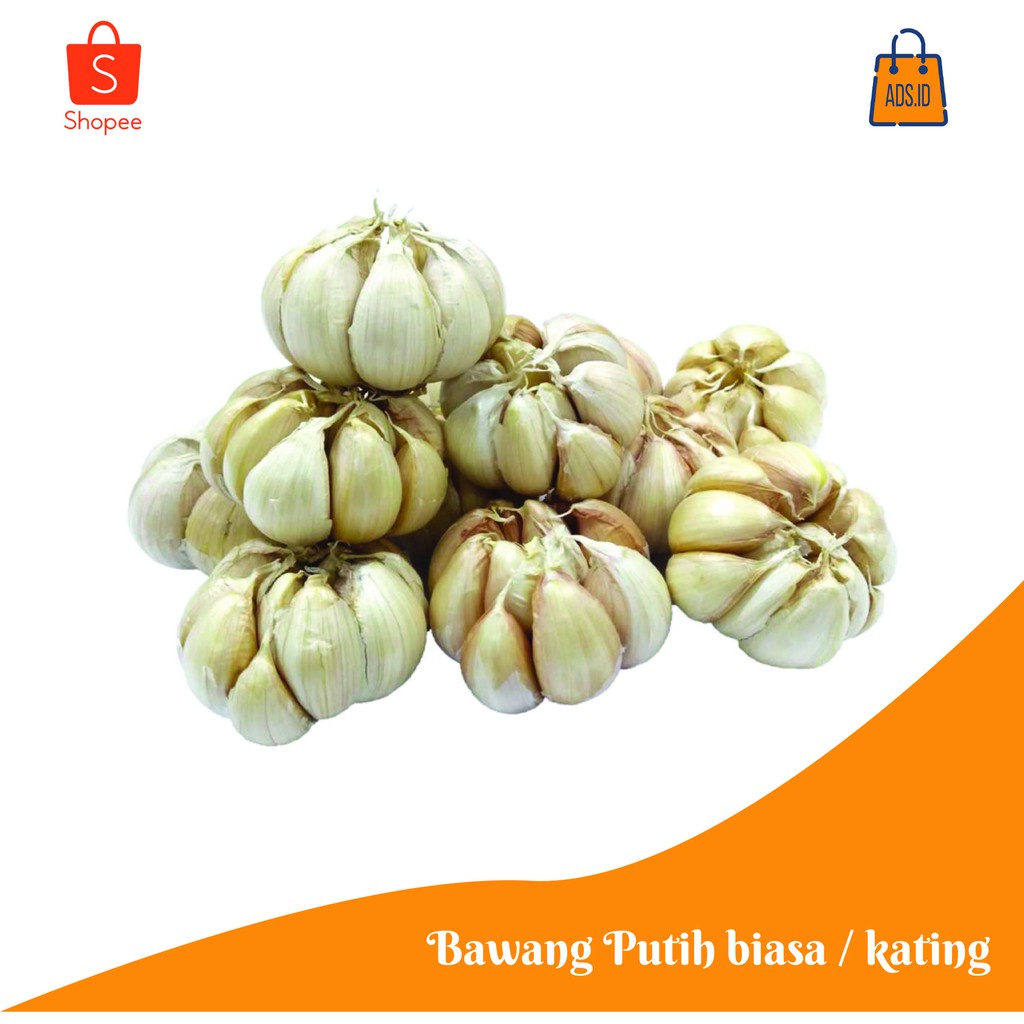 

Bawang Putih biasa/Kating wangi