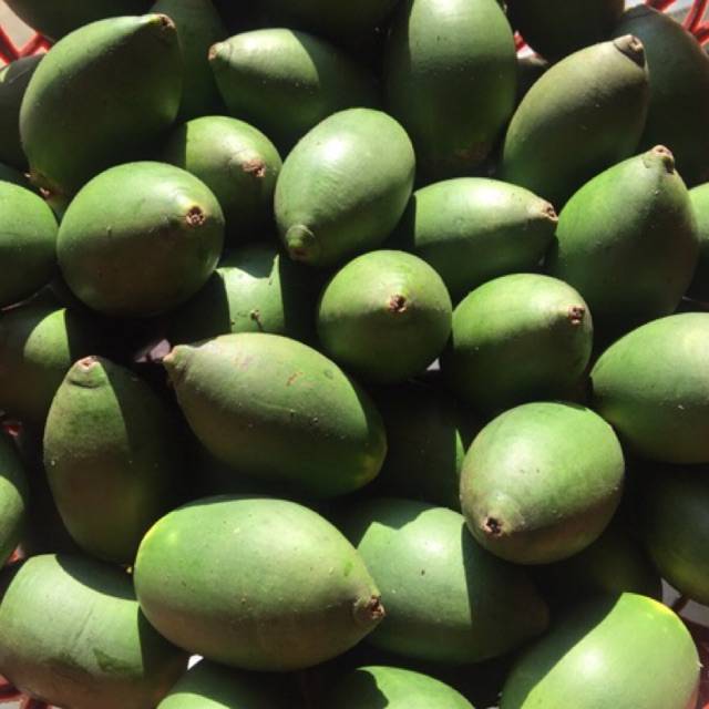 

BUAH PINAG MUDA 1KG organik