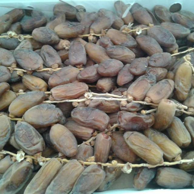 

Kurma Tunisia Eljazeera