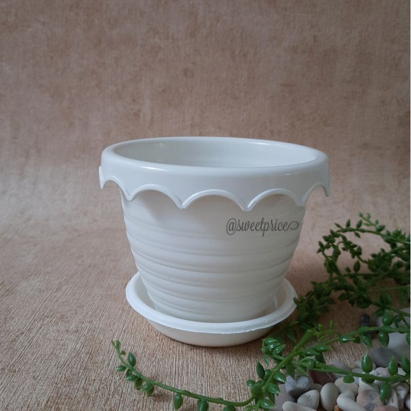 POT BEE 131 + TATAKAN PUTIH / POT BUNGA / POT TANAMAN / POT KECIL