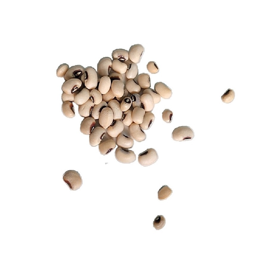 

kacang tolo tunggak putih black eye bean lobia chawli raungi 500 gr