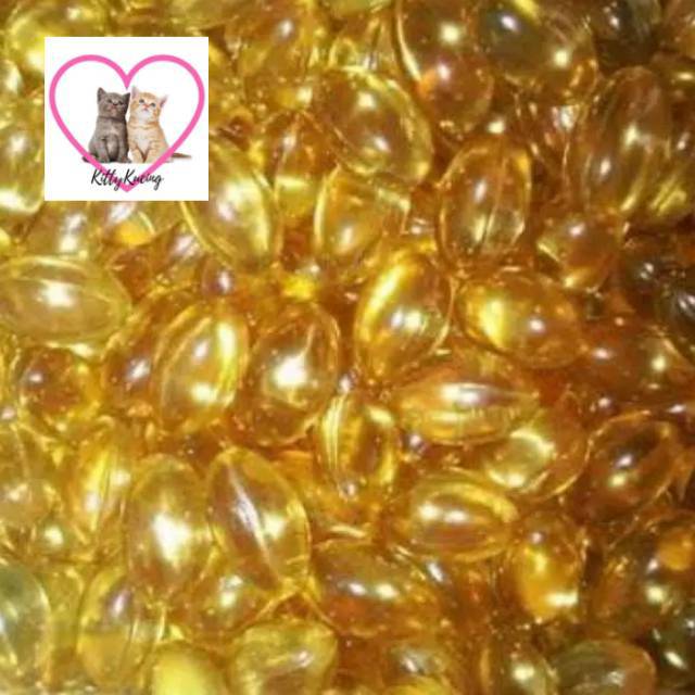 Vitamin Kucing Anjing  FISH LIVER OIL