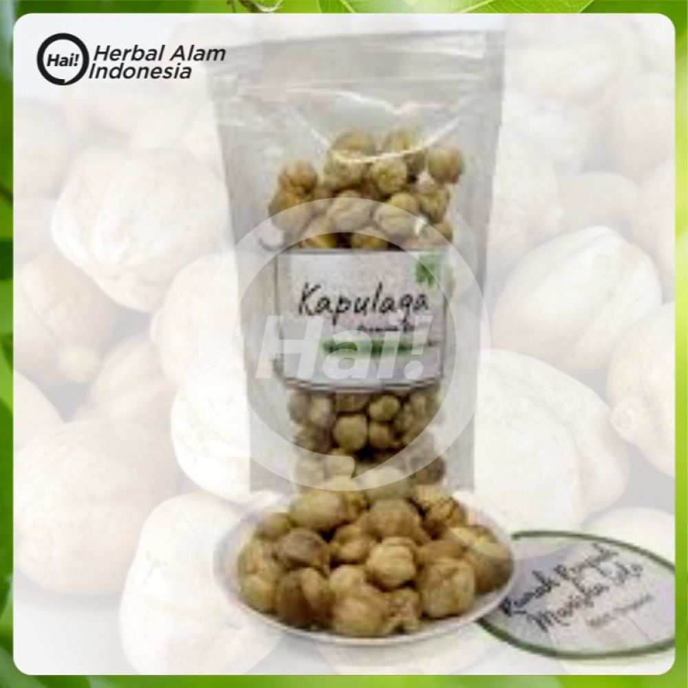 

KAPULAGA / KAPULOGO / KAPOL / CARDAMON KERING 100 GRAM - HAI STORE
