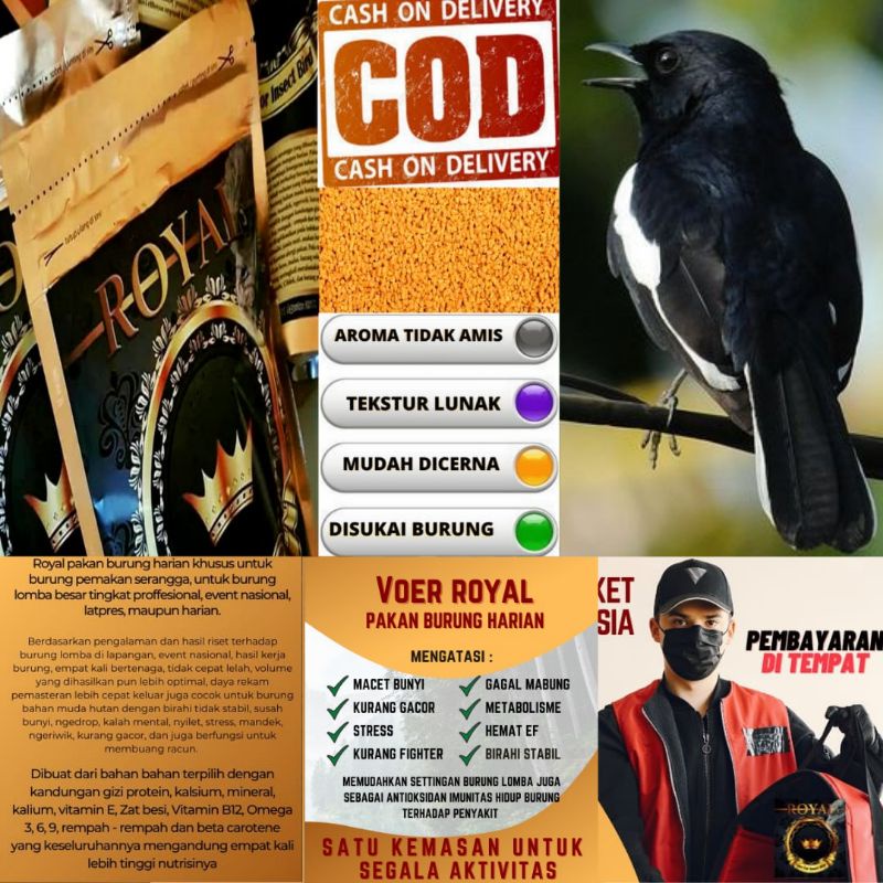 pur burung kacer voer royal Kacer 300 gr