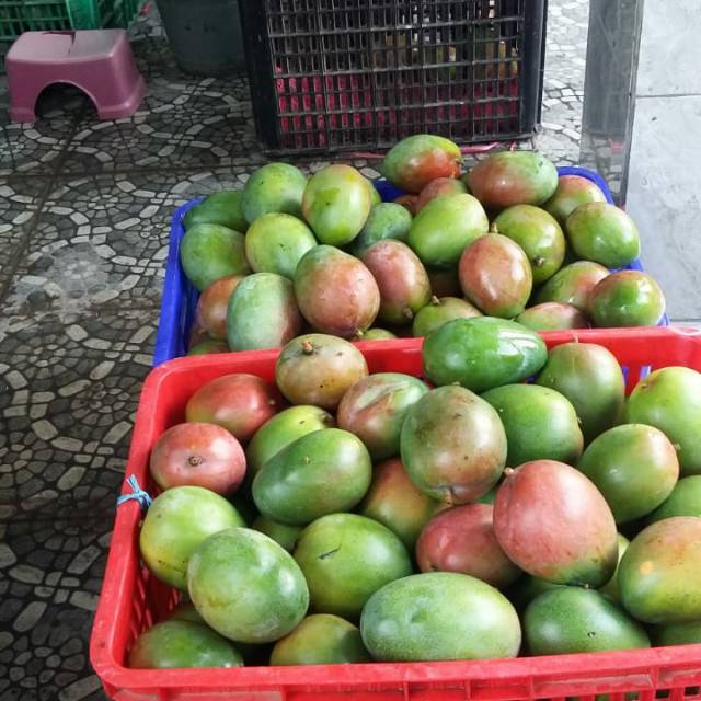 

2kg Mangga irwin