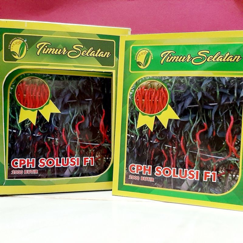 Bibit Cabe Solusi F1