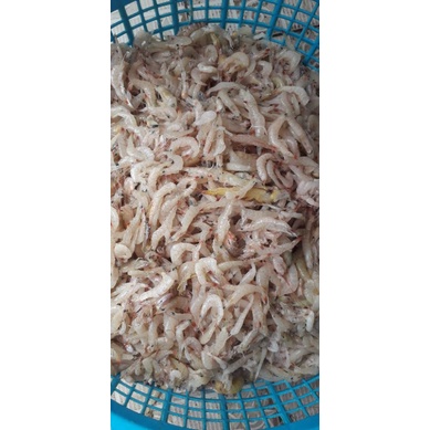 

udang peyek segar