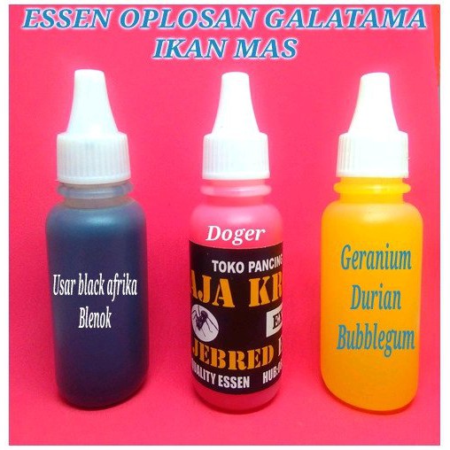 umpan jitu ikan mas galatama