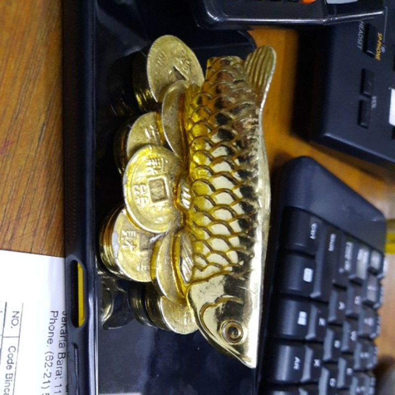 

ikan coin emas murni