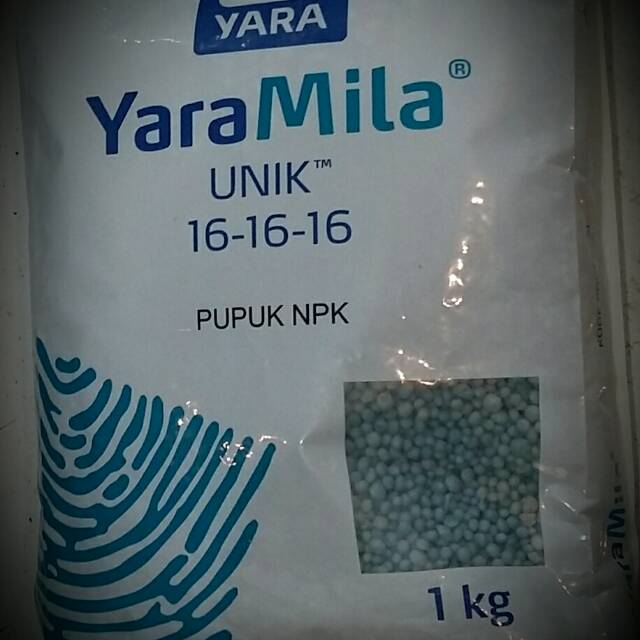 Pupuk NPK 16-16-16 YaraMila
