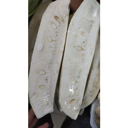 

Nangka Muda 500gr