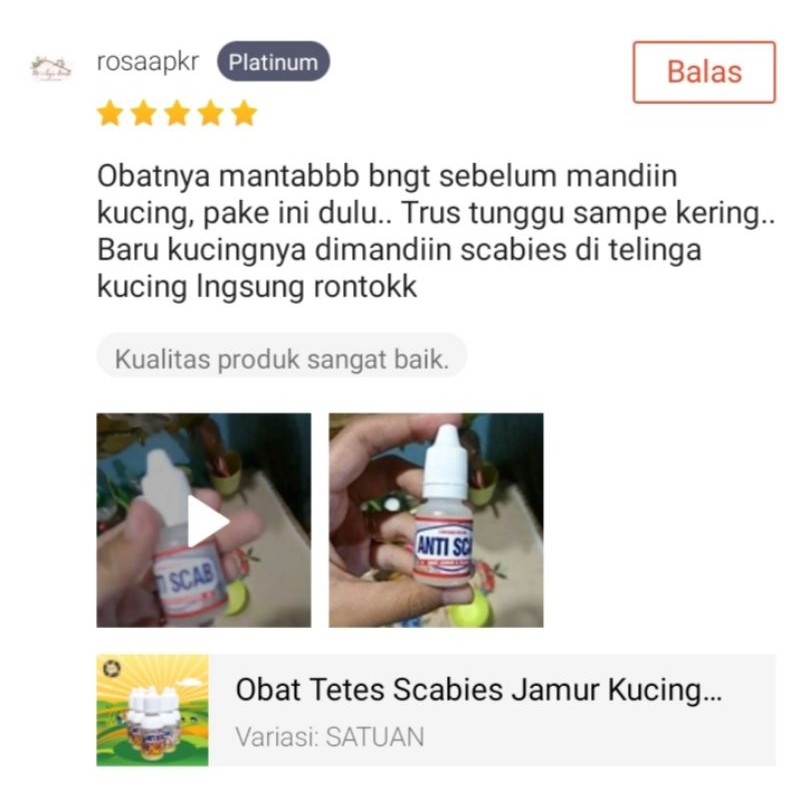 ANTISCAB - Obat Scabies Oles Kucing Kelinci Anjing Guinea pig Hair Loss Sugar Glider