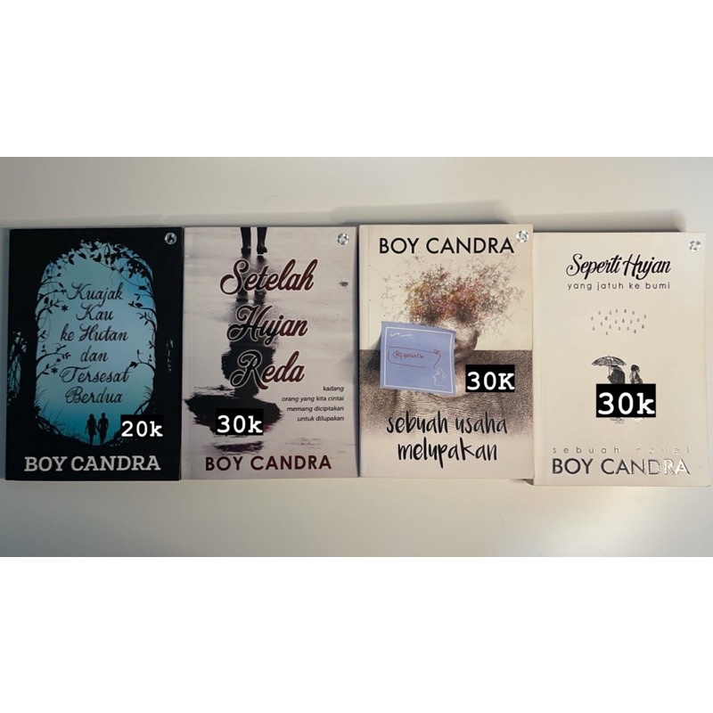 PRELOVED NOVEL BOY CANDRA