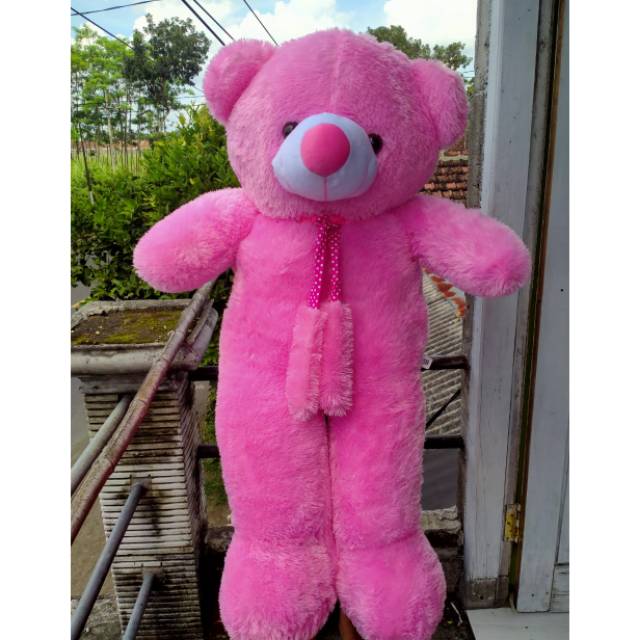 1.2 m teddy bear