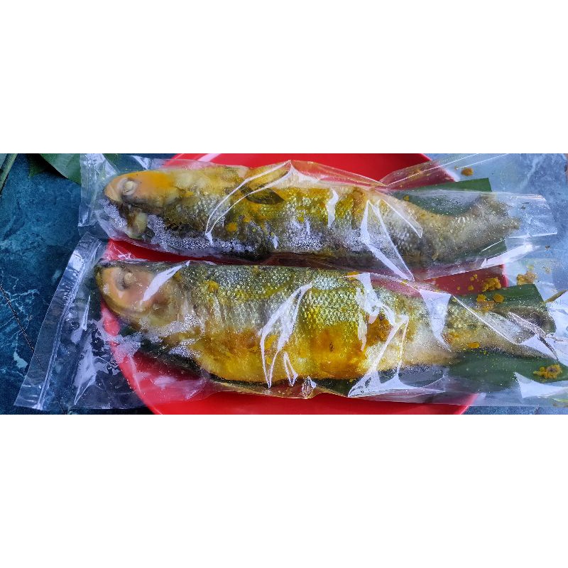 

Bisa Kirim Instan - Bandeng Presto Mentah per ekor