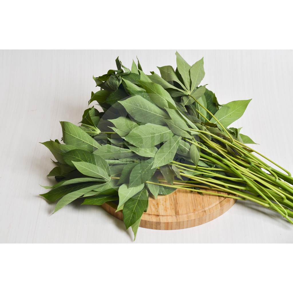 

Daun Singkong Organik - Lojin Oragnic Store
