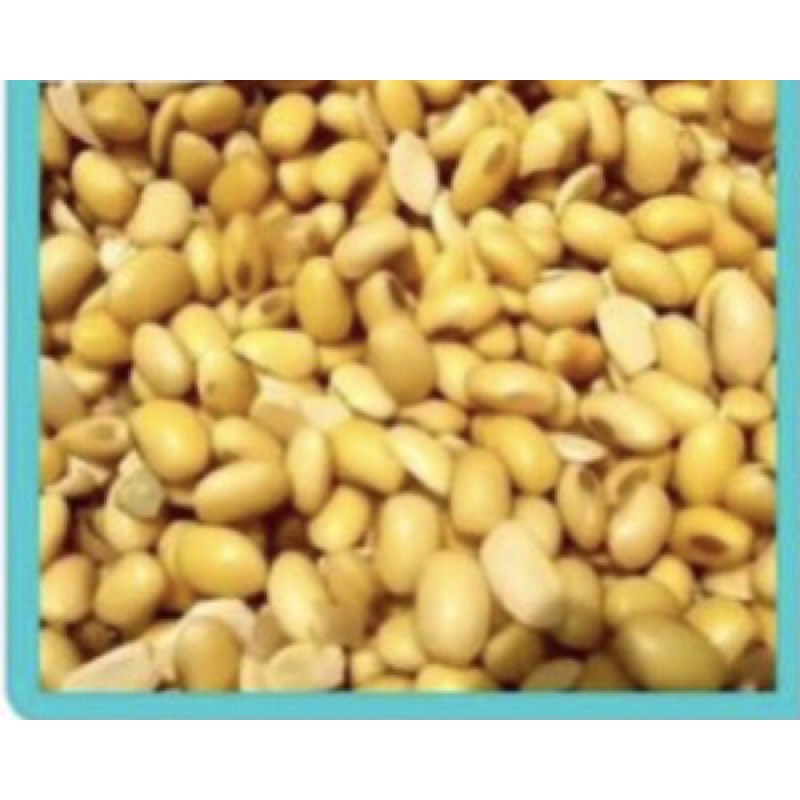 

KACANG KEDELAI 250-500gr