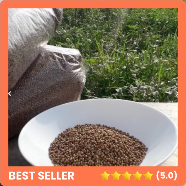 

Ketumbar Hitam Asli 500gr Organik Rempah JSR / Biji Ketumbar Alami Tanpa Pemutih