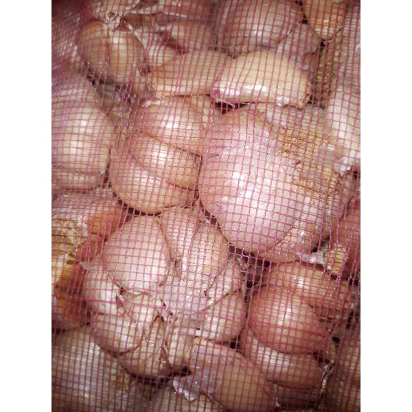 

Bawang Putih Baci honan Bersih Tanpa kulit