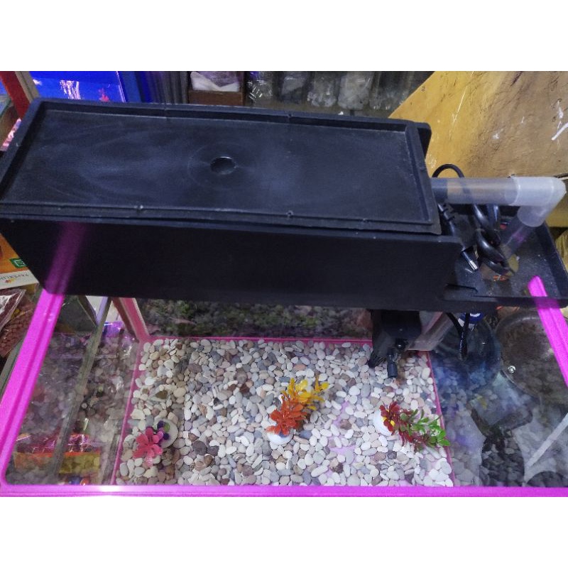 AQUARIUM TRISET FULL KACA  UKURAN L 1SET SIAP PAKAI