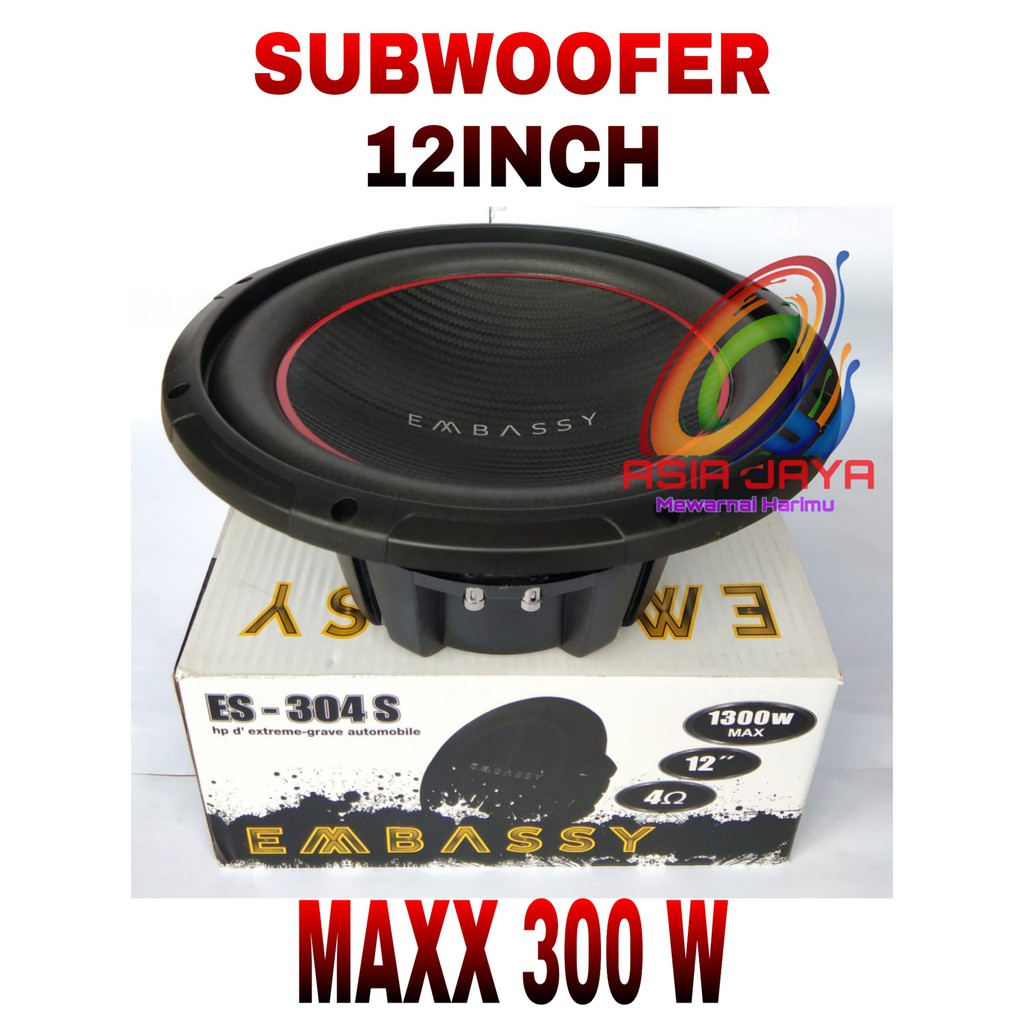 EMBASSY ES 304S Subwoofer 12inch