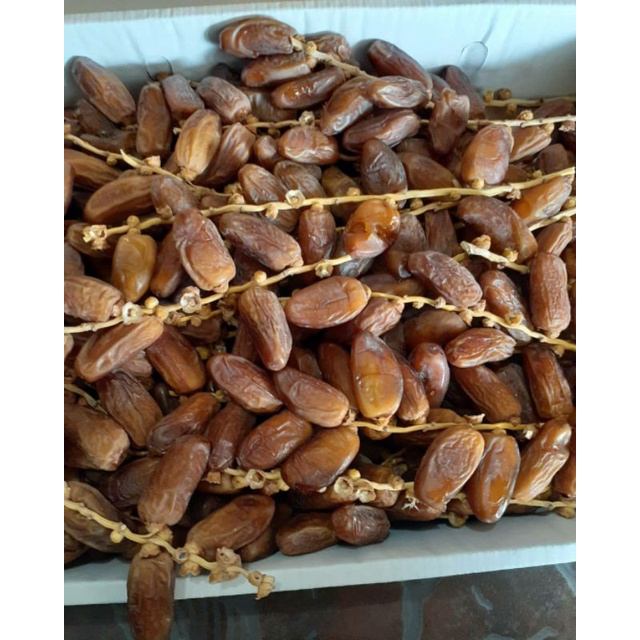 

kurma tunisia tangkai 1kg/kurma tangkai/kurma tangkai murah