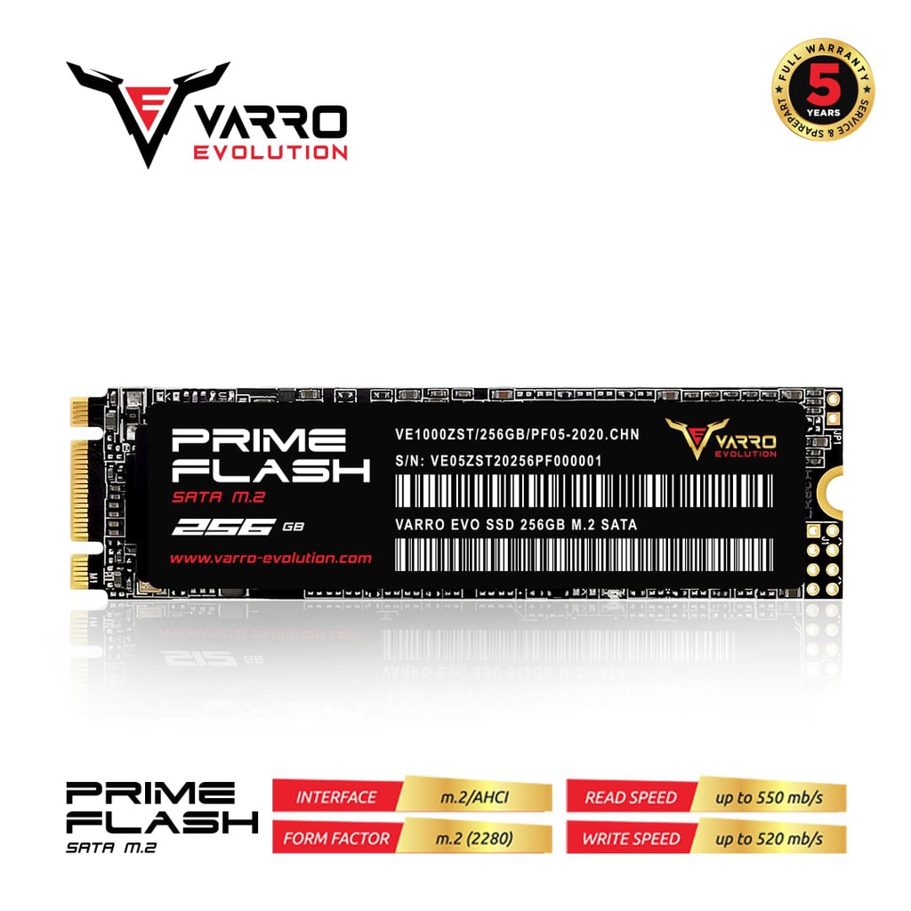 SSD VARRO M2 256GB PRIME 5 TAHUN GARANSI